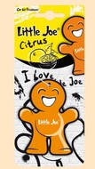 Ароматизатор сухая карточка Little Joe CITRUS (Orange)